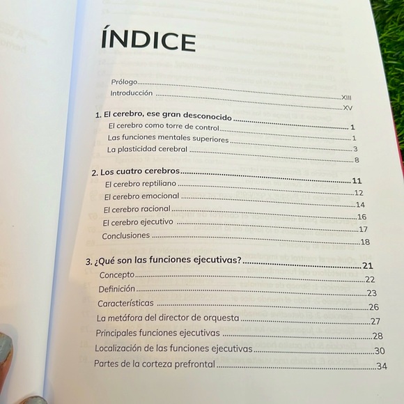 Rafa Guerrero Cómo estimular el cerebro del niño: Funciones ejecutivas Spanish - Picture 5 of 8